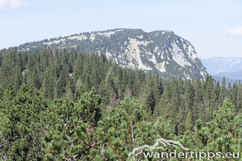 Eisenerzer Höhe/Kreuzbühel Abbildung 14