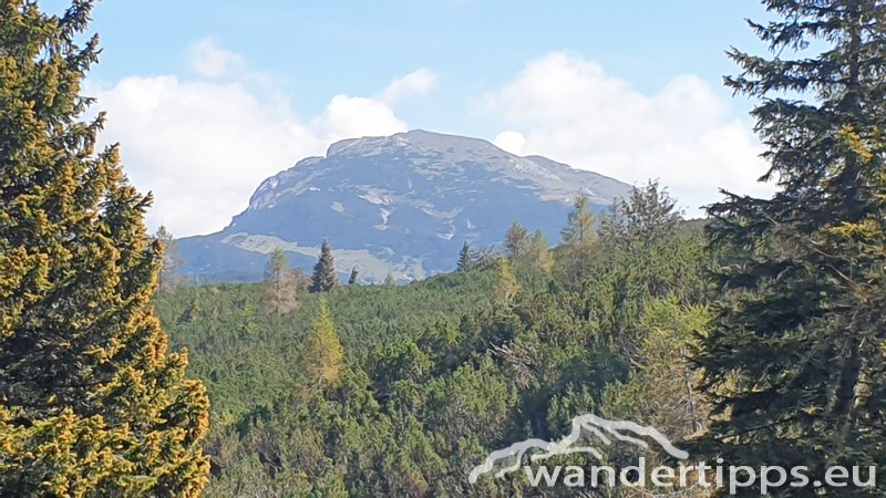 Eisenerzer Höhe/Kreuzbühel Abbildung 8