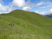 Hochalmspitze Abbildung 4