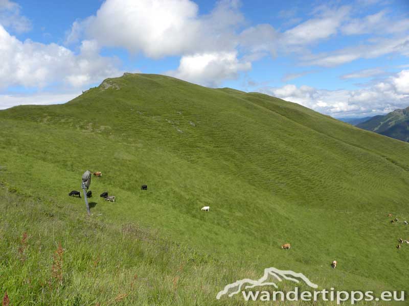 Hochalmspitze Abbildung 4