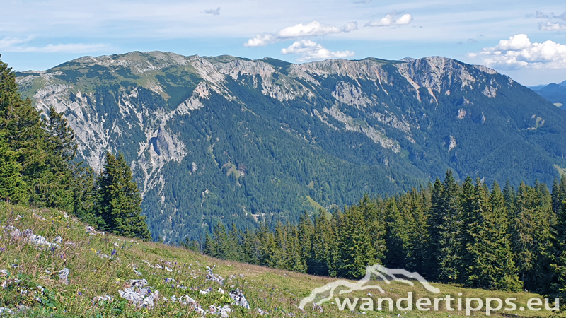 Lachalpe von Osten Abbildung 14