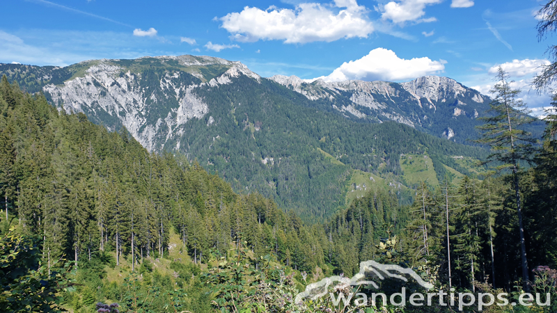 Lachalpe von Osten Abbildung 17