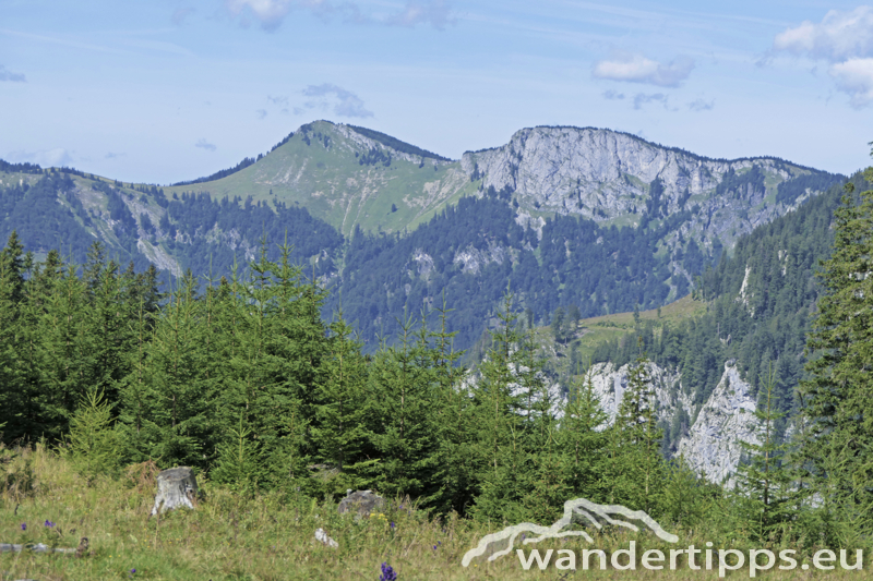 Lachalpe von Osten Abbildung 9