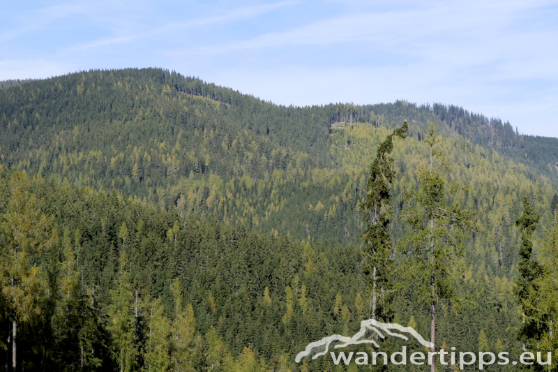 Roßkogel/Lammeralm Abbildung 17
