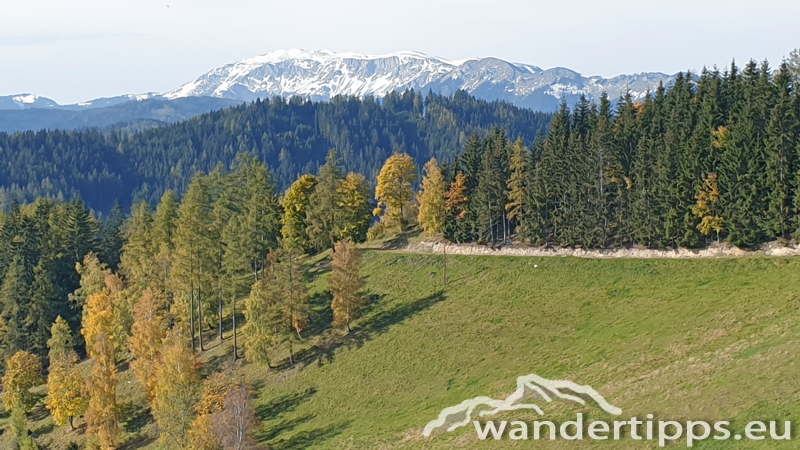 Roßkogel/Lammeralm Abbildung 19