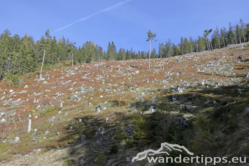 Roßkogel/Lammeralm Abbildung 9