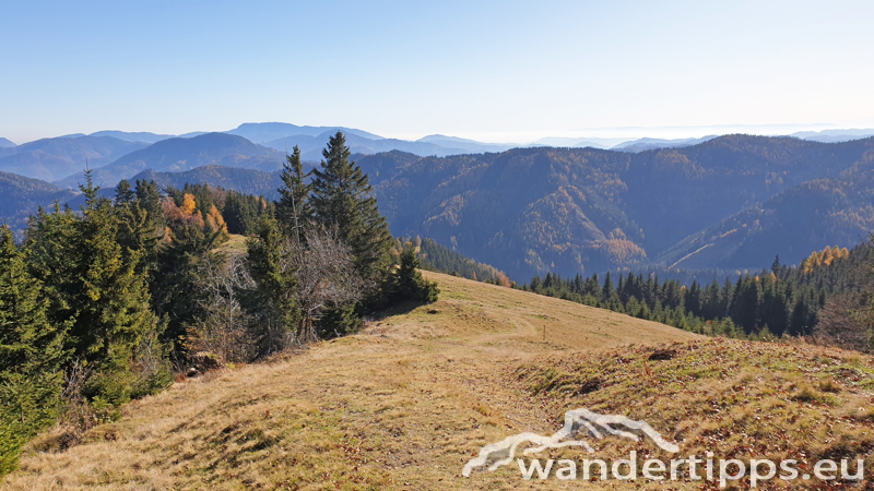 Brucker Hochanger Abbildung 12