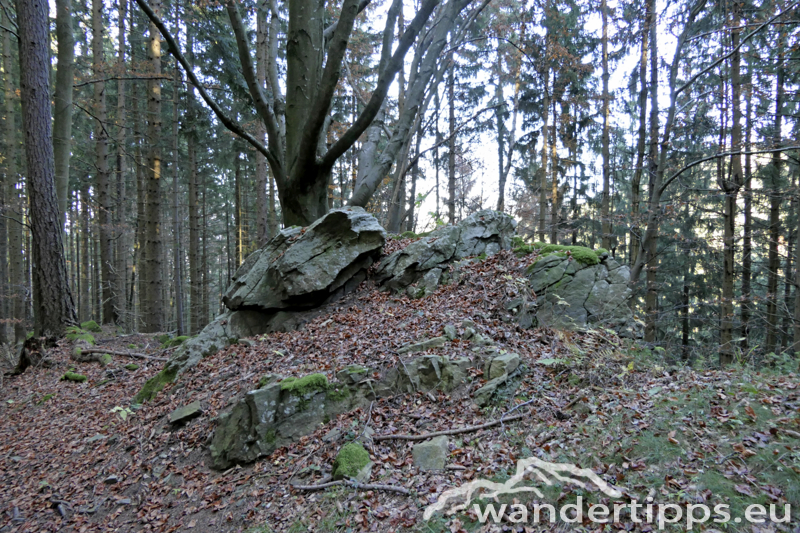 Brucker Hochanger Abbildung 17