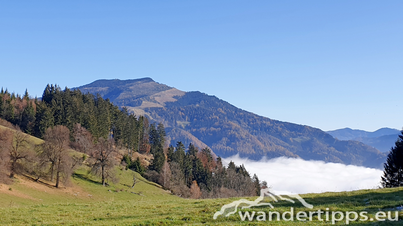 Brucker Hochanger Abbildung 5