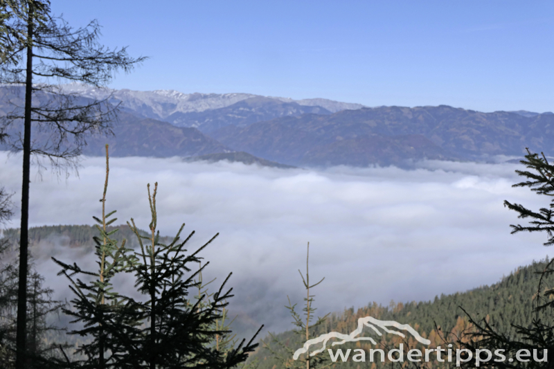 Brucker Hochanger Abbildung 7