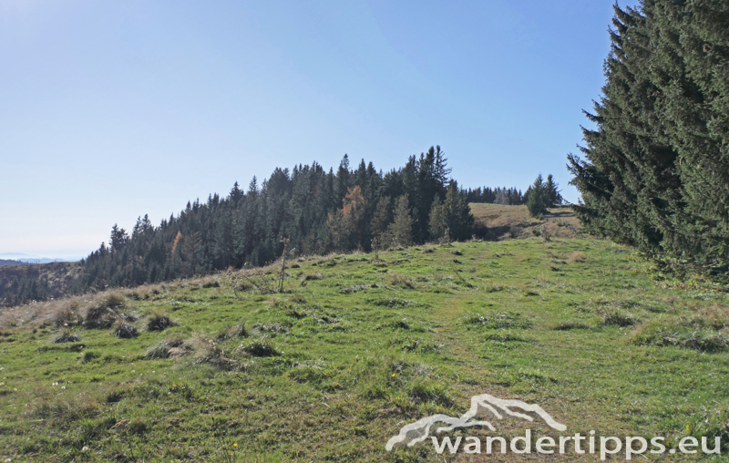 Brucker Hochanger Abbildung 8