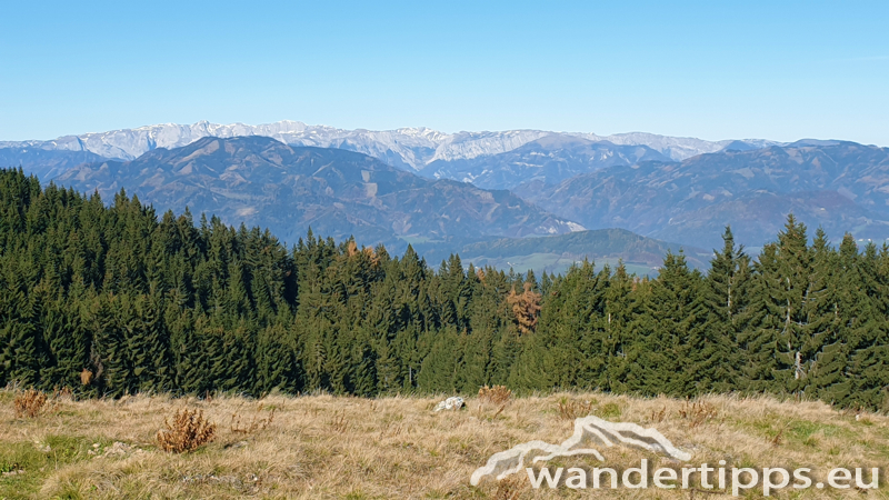 Brucker Hochanger Abbildung 10