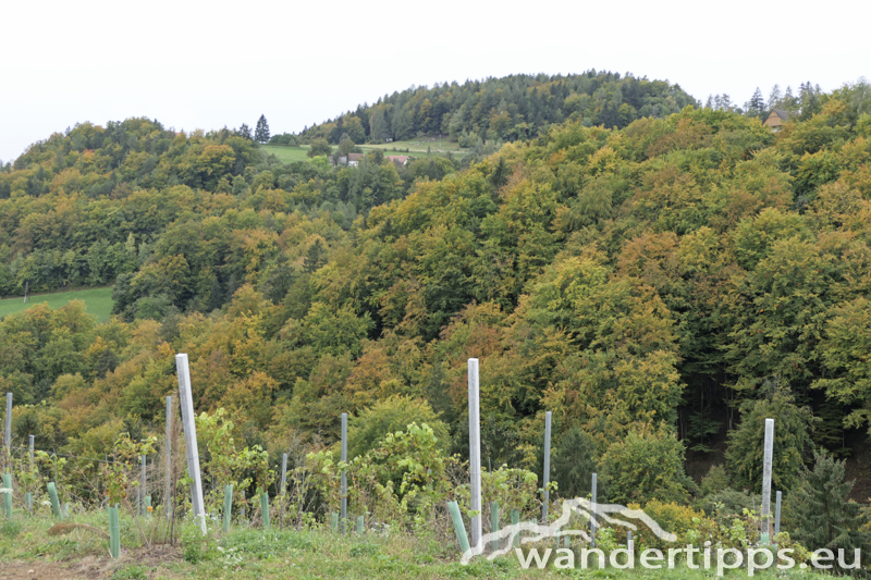 Demmerkogel Abbildung 13