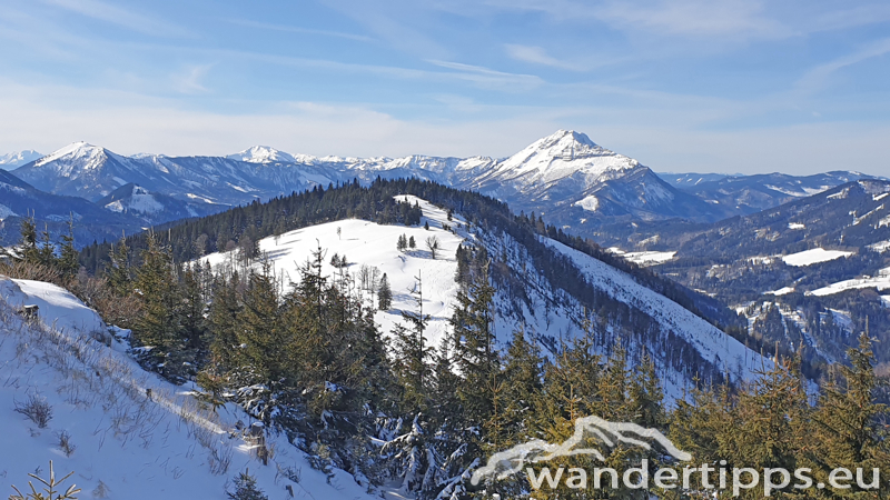 Tirolerkogel von Südwesten Abbildung 17