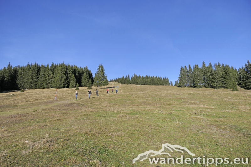 Tirolerkogel von Südwesten Abbildung 8