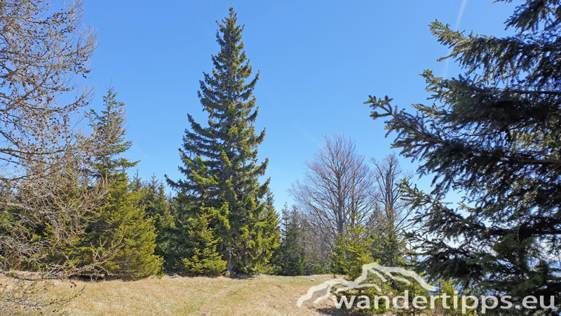 Gahnsleiten Abbildung 11