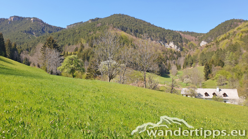 Gahnsleiten Abbildung 20