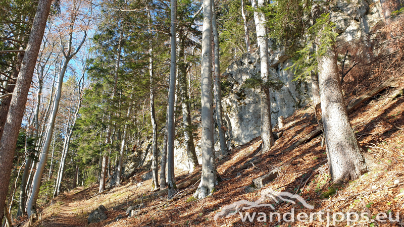 Gahnsleiten Abbildung 8