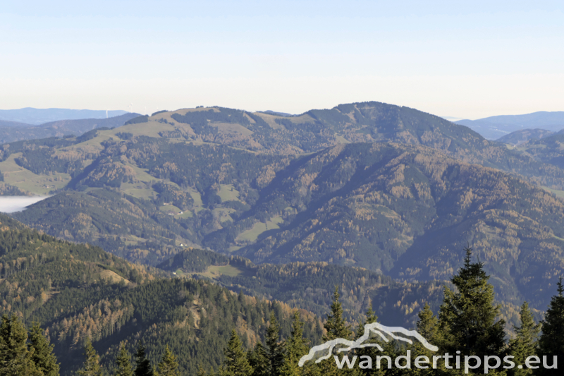 Rennfeld von Nordwesten Abbildung 11