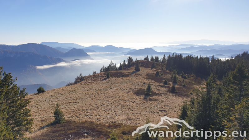 Rennfeld von Nordwesten Abbildung 13