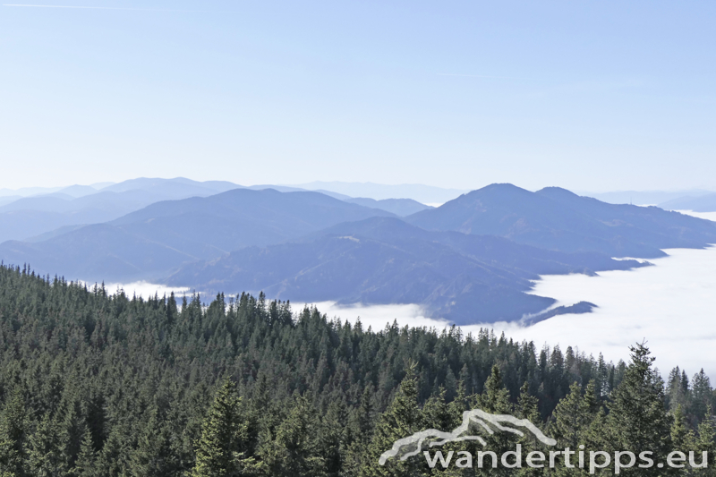 Rennfeld von Nordwesten Abbildung 14