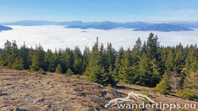 Rennfeld von Nordwesten Abbildung 15