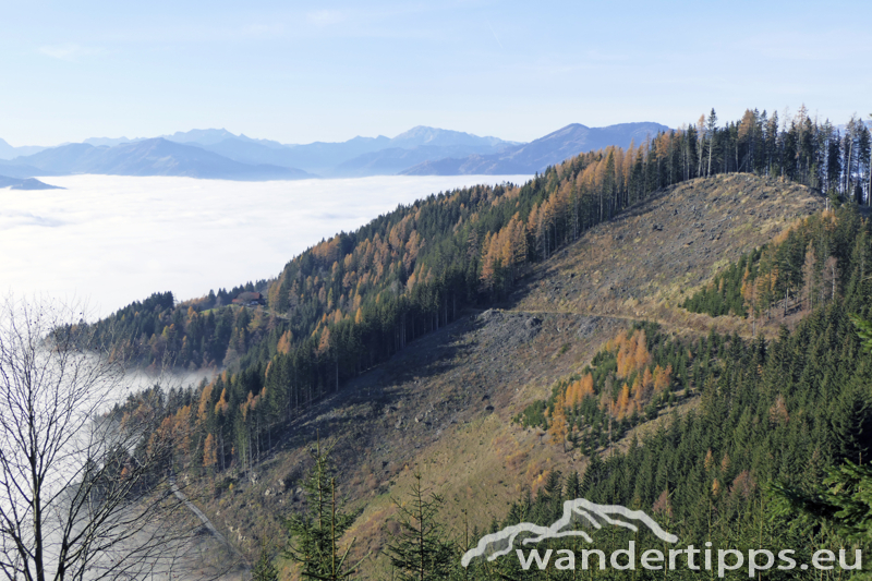Rennfeld von Nordwesten Abbildung 17