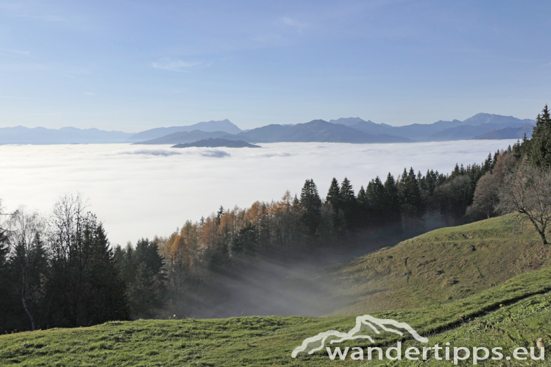 Rennfeld von Nordwesten Abbildung 19