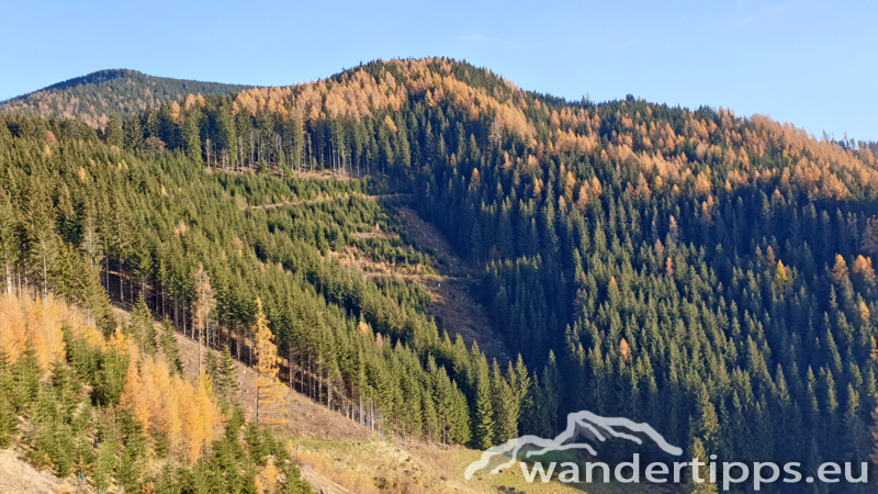 Rennfeld von Nordwesten Abbildung 4