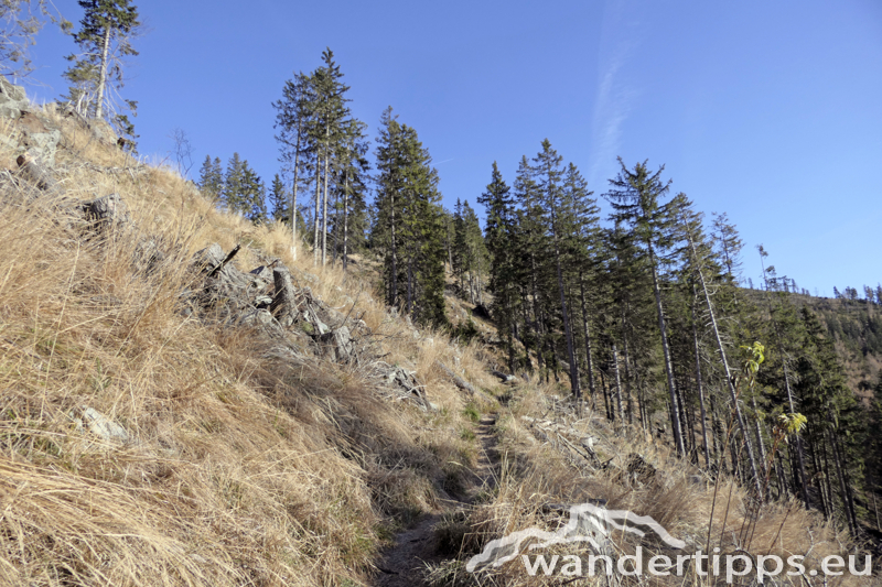 Rennfeld von Nordwesten Abbildung 5