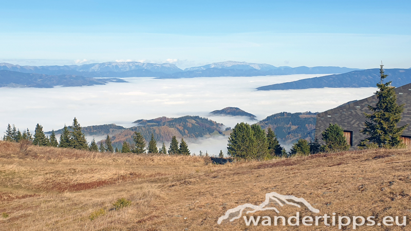 Rennfeld von Nordwesten Abbildung 9