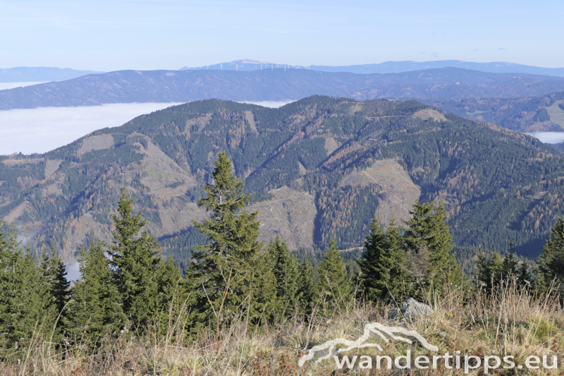 Rennfeld von Nordwesten Abbildung 10