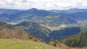Haneggkogel Abbildung 11