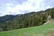 Haneggkogel Abbildung 5