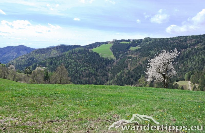 Haneggkogel Abbildung 4