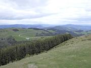 Plankogel von Norden Abbildung 12