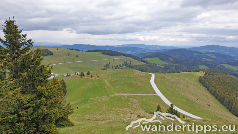 Plankogel von Norden Abbildung 14