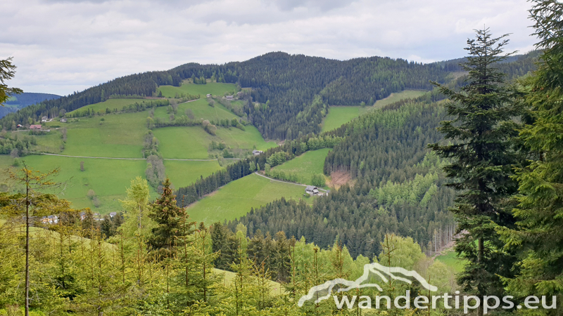 Plankogel von Norden Abbildung 19