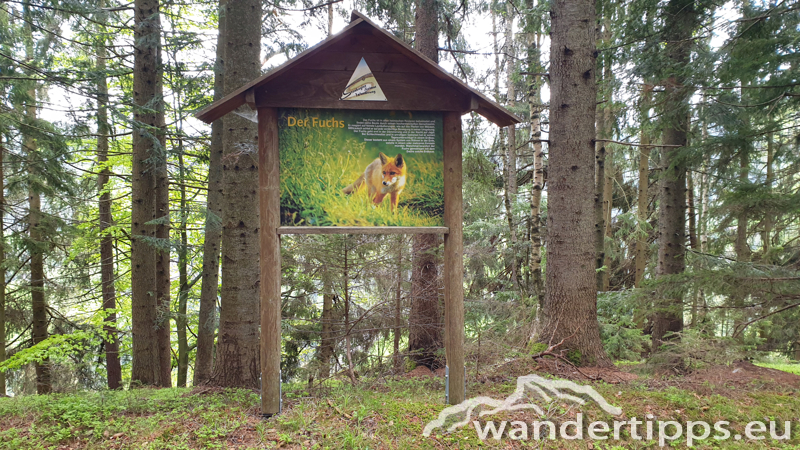 Plankogel von Norden Abbildung 20