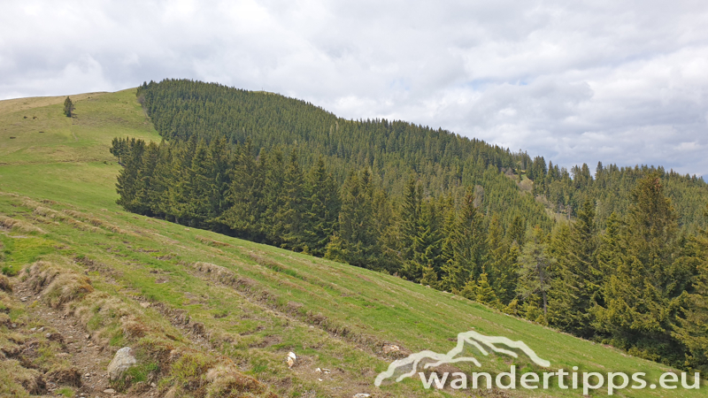 Plankogel von Norden Abbildung 7