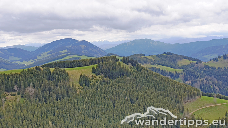 Plankogel von Norden Abbildung 10