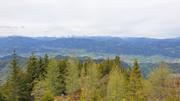 Brandnerberg/Grabenbauerhöhe/Schwarzkogel Abbildung 13
