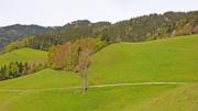 Brandnerberg/Grabenbauerhöhe/Schwarzkogel Abbildung 2