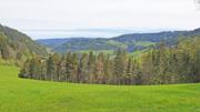 Brandnerberg/Grabenbauerhöhe/Schwarzkogel Abbildung 3