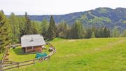 Brandnerberg/Grabenbauerhöhe/Schwarzkogel Abbildung 4