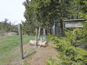 Brandnerberg/Grabenbauerhöhe/Schwarzkogel Abbildung 5