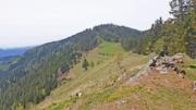 Brandnerberg/Grabenbauerhöhe/Schwarzkogel Abbildung 6