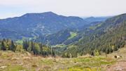 Brandnerberg/Grabenbauerhöhe/Schwarzkogel Abbildung 7
