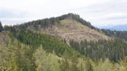 Brandnerberg/Grabenbauerhöhe/Schwarzkogel Abbildung 9
