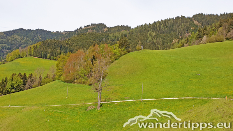 Brandnerberg/Grabenbauerhöhe/Schwarzkogel Abbildung 2